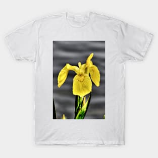 Yellow Flag T-Shirt